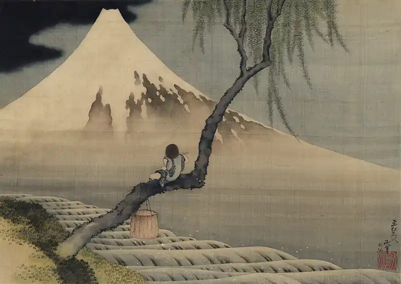 Boy Viewing Mount Fuji